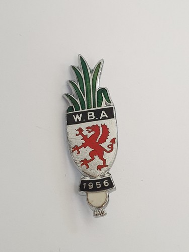 Wales bowling association - wales,