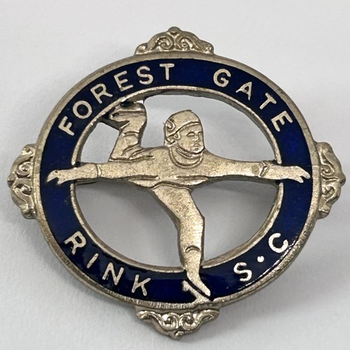 Vintage forest gate - vintage, ice