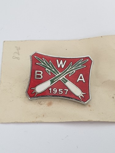 Wales bowling association - wales,